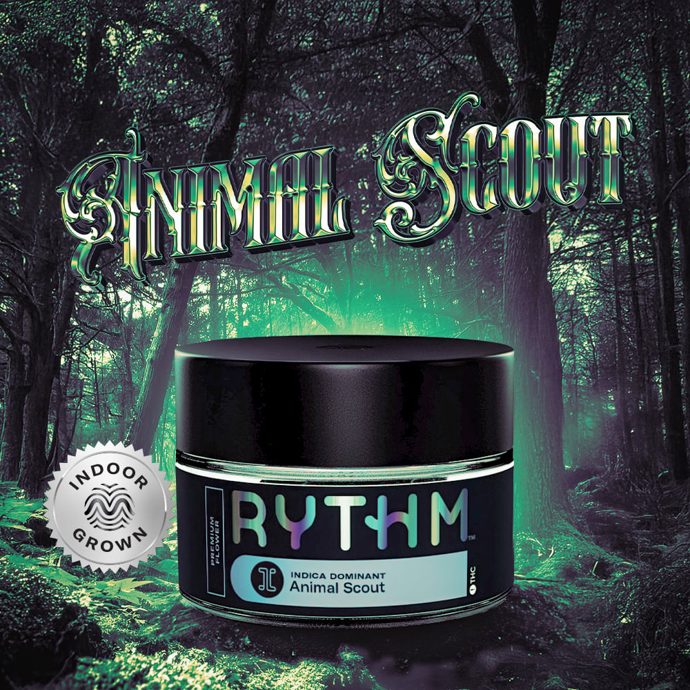 Animal Scout